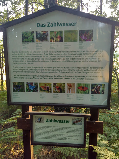 Zahlwasser