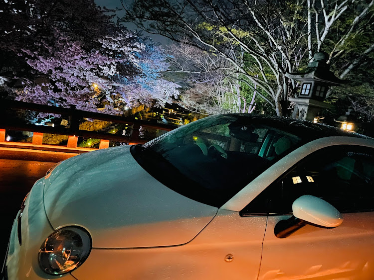500の桜コラボ・フィアット好きな人と繋がりたいに関するカスタム事例の投稿画像3枚目