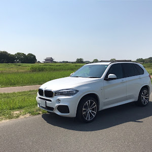 X5 F15