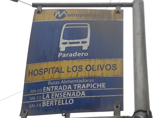Hospital de Los Olivos - Los Olivos