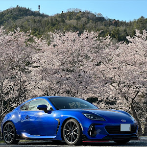 BRZ ZD8