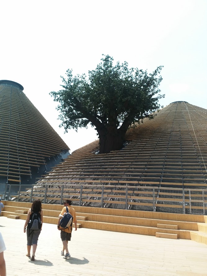 Tree of life outside