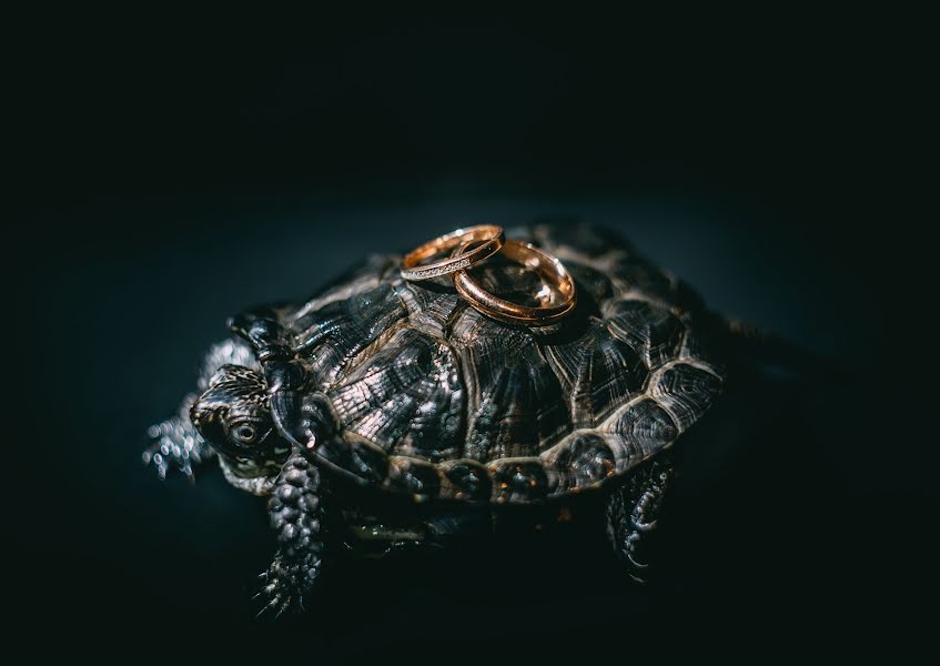 Fotógrafo de casamento Ivan Kocha (ivankocha). Foto de 12 de abril 2018