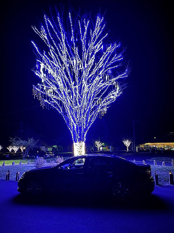 LSのLexus・LS460・大分・闇の帝王に関するカスタム事例の投稿画像3枚目