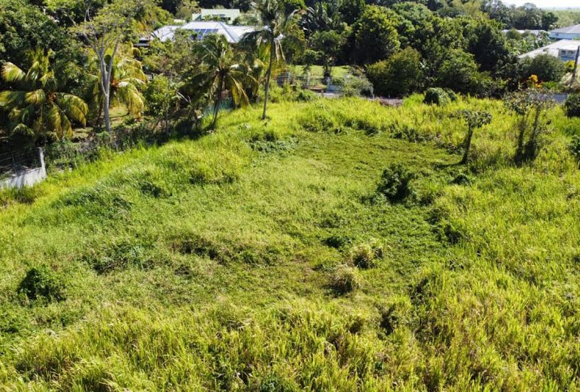  Vente Terrain à bâtir - à Baie-Mahault (97122) 