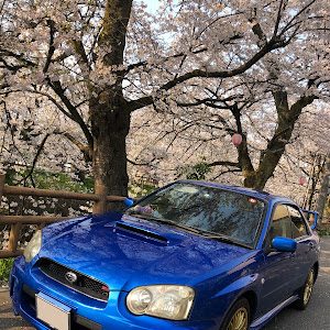 インプレッサ WRX GDA