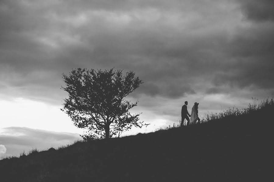 Fotógrafo de casamento Alena Kartushina (devochka). Foto de 21 de setembro 2015