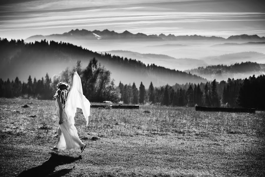 Wedding photographer Kamil Czernecki (czernecki). Photo of 4 July 2017