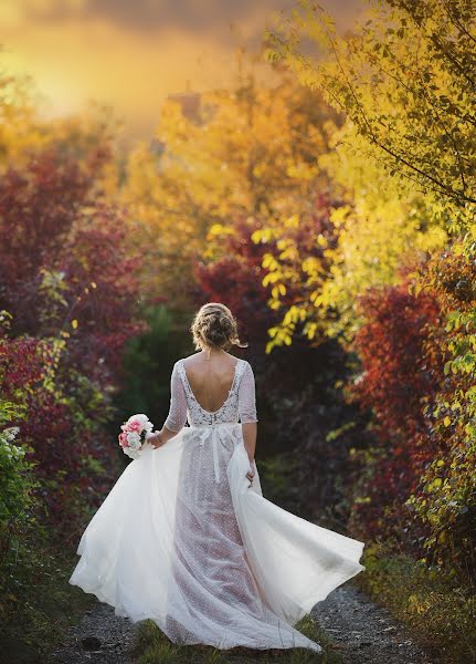 Photographe de mariage Ninoslav Stojanovic (ninoslav). Photo du 13 octobre 2017