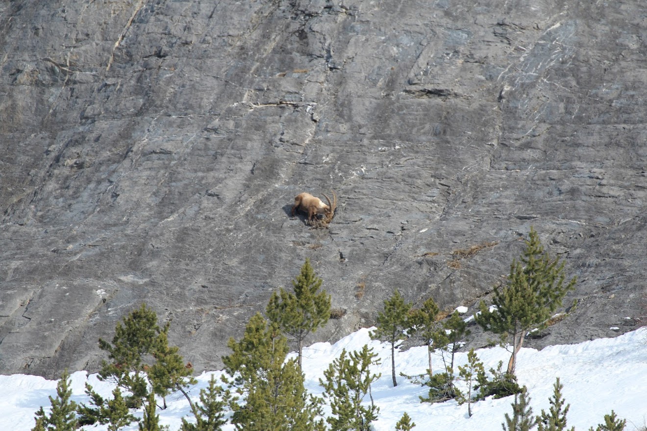 Rando au massif de Cercé N5wWyZxg3oAfgfncrBZo3kAJsvFE6GAsbsgwL7oVblMPP4J0pmqvmL8-tFKu-wVoARr16bIDzZP6LnCBa459djcKFz21zU9VI1BEos4-eNgvDb1RtjkpBQEpMMwvZD9hH8_nJpsTs6hDm-BbqqGSd0FFxfxzT988oNiVaq1Xcz1emP7bV3Z1roQPSps3BxXXq_nE6yfWc2mL45q2dWecIds5i4hrZ0_fDd9FrJ9wCIKtA_Pf4RZKg5jjaYl7PiwDqPNUiD3E3aiIPE0TR55K4INv8HYPI_ANog9n4_-Gqs3hcgcYtAcXpahgLIazT2nt_LM_hZWWoB0RJnXvqHEI0f6oQwXdUe-wISOsAwDWAqStOxeKe_ehFyaPIyfEbd7sJUvHbAOlMwYJdiuGYSpvqTaeS2F_eZq3ORbXS4KDgsAjj1xHXRRDKVvvII-PSHH9JfTZw94UlFQ38-Ie6UcwnyqoFe75ZPKxSYPlvIQLP78FY0dIfIShTHYX0j8L-Zl1-g0Wzpp44GXzub0uohXHyWoWH6NUnFQ8rI0g_JIK0Bvpv-7ft1zLPLurgpyjKLfxus_EAw=w1320-h880-no