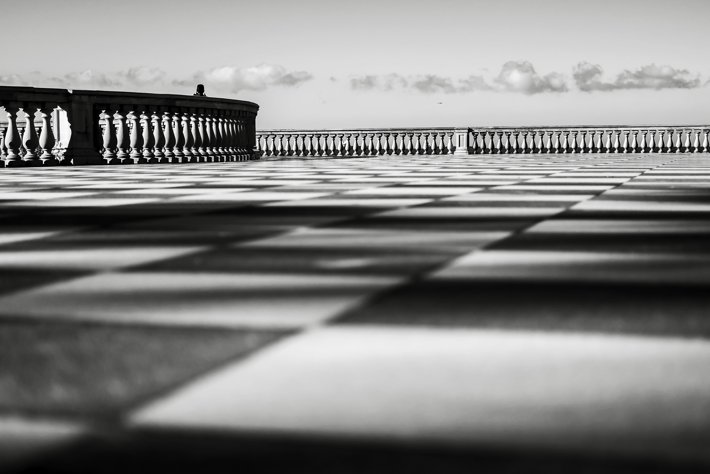 Vivi...a....quadretti  di stefanogaleotti