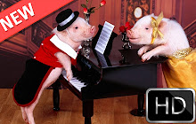 Pigs HD new free tab theme small promo image