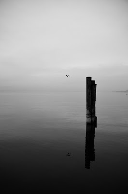 tra cielo e mare di mazzarolo