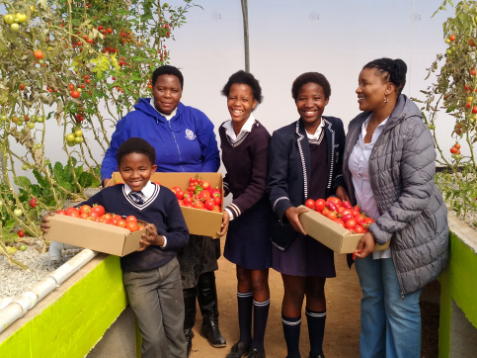 Schools in Port Elizabeth's townships are being introduced to aquaponics to meet the growing demand for both practical skills and food security. Pupils from Seyisi Primary School show off a day's harvest.