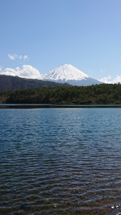 の投稿画像6枚目