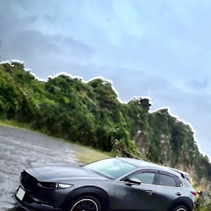 CX-30 DMEP