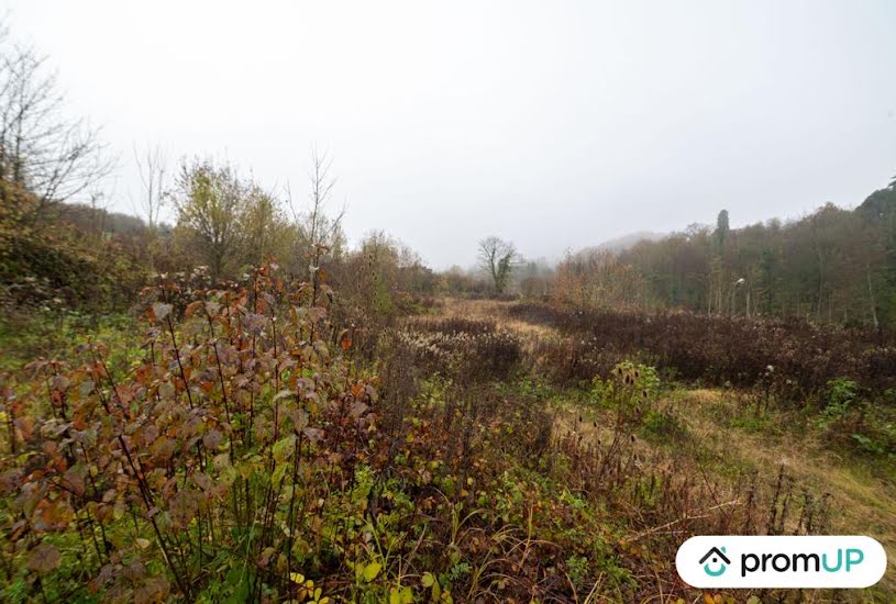  Vente Terrain à bâtir - 4 335m² à Haraucourt (08450) 