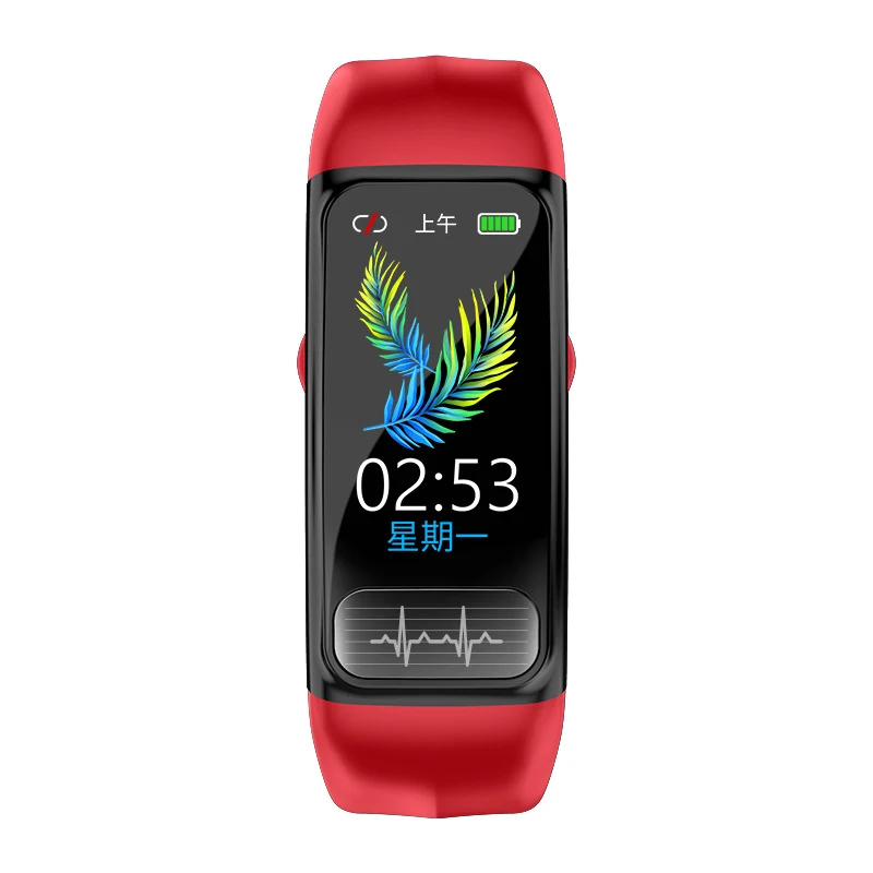 ECG PPG Smart Watch Sport Bluetooth Polsband Hartslag Monitoring Slimme Armband Zwart
