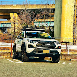 RAV4 MXAA54