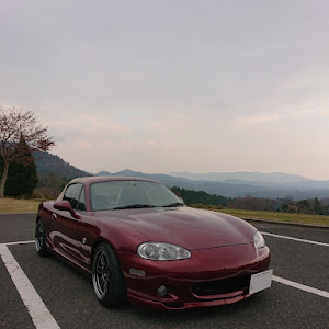 ロードスター NB6C