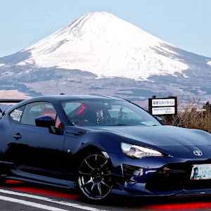 86 ZN6