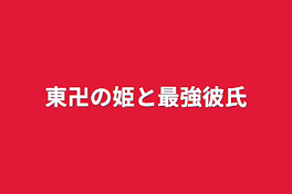 東卍の姫と最強彼氏