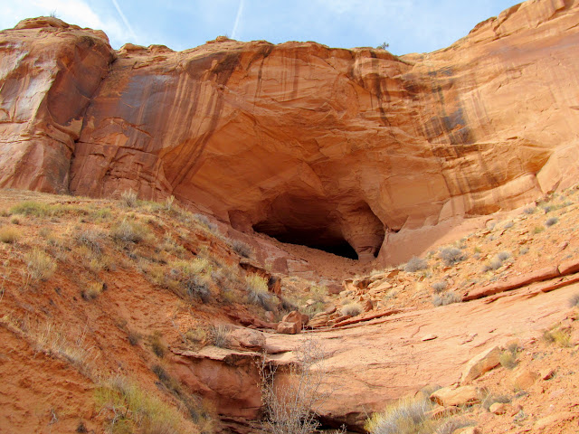 A large alcove in Horseshoe Canyon