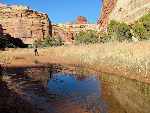 Canyon reflections