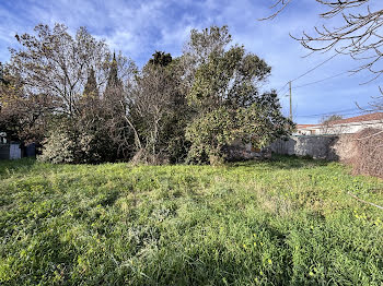 terrain à Les olives (13)