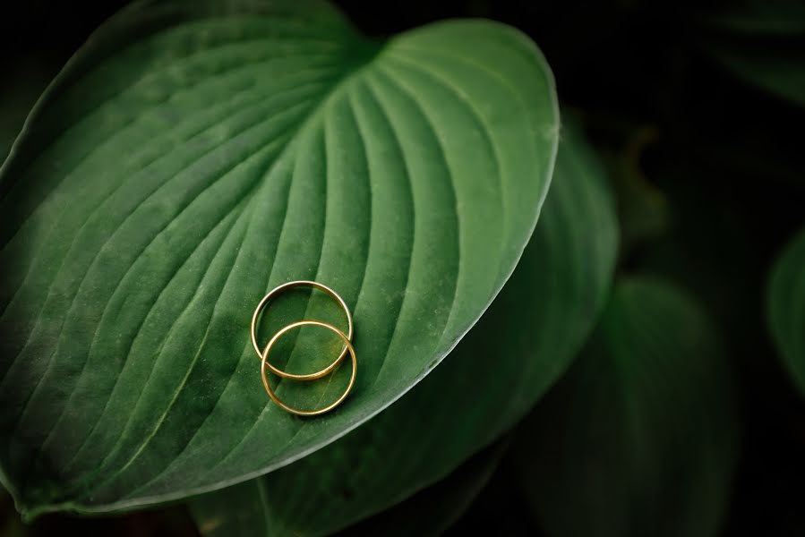 Wedding photographer Evgeniy Gololobov (evgenygophoto). Photo of 12 June 2019