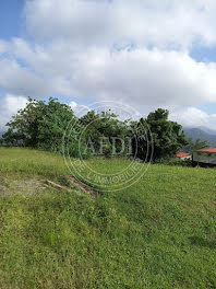 terrain à Le morne rouge (972)