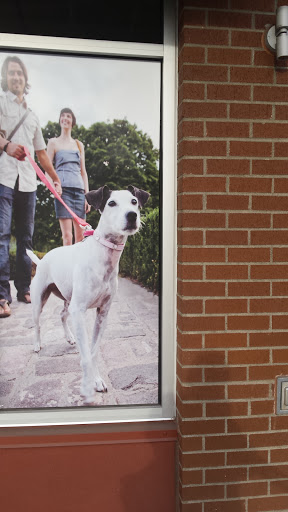 Walking The Dog Mural