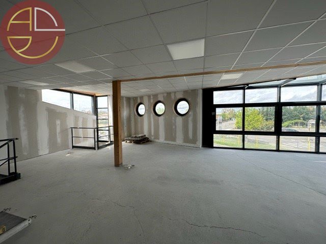 Location  locaux professionnels  225 m² à Saint-Lys (31470), 2 250 €