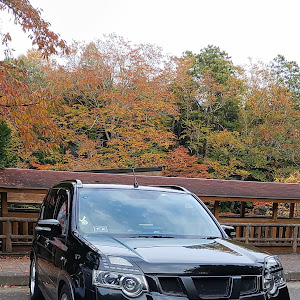 エクストレイル DNT31