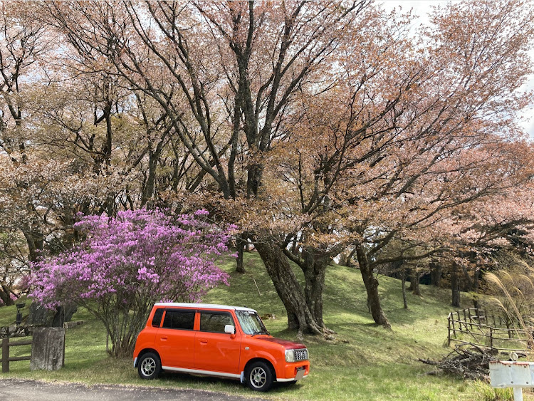 の投稿画像2枚目