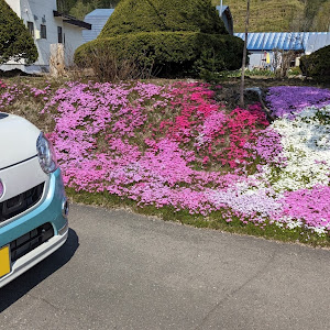 ムーヴキャンバス LA800S