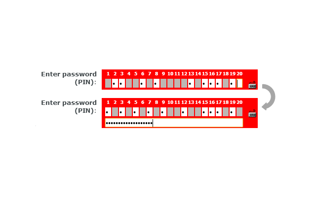 Regular password field for BZWBK24 Preview image 1