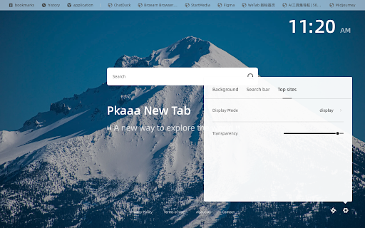 Pkaaa New Tab