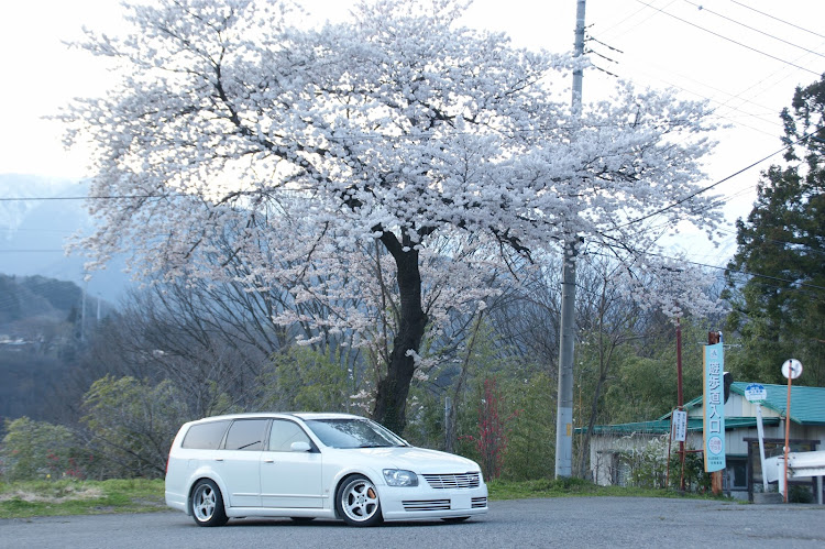 の投稿画像2枚目