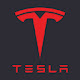 Tesla Roadster Search