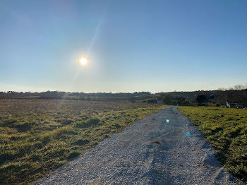 terrain à Vayres (33)