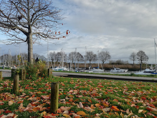 Autunno e canali di foglie di rosalinda