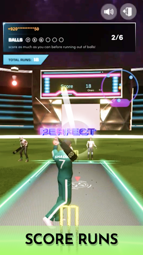 Screenshot Cricket Fly x Gamifly