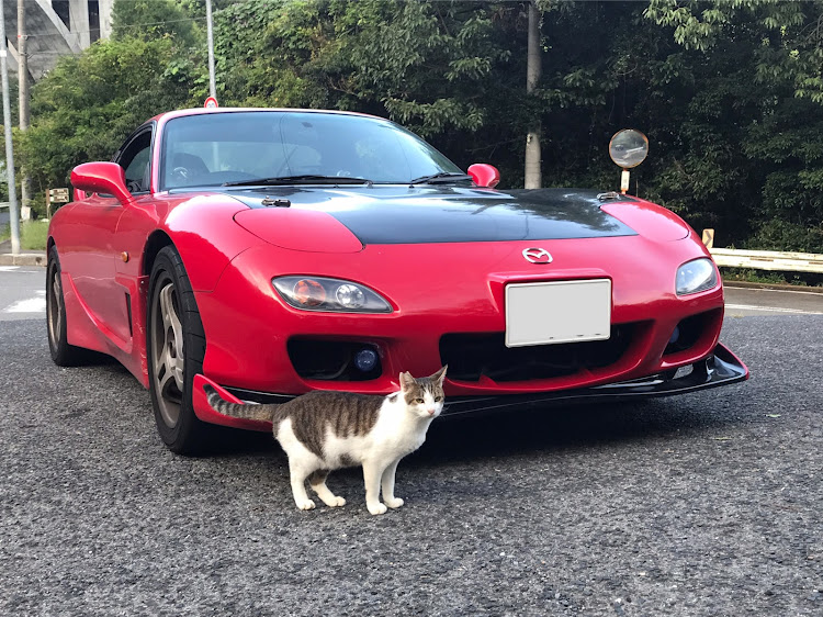 RX-7のねこ・ドライブに関するカスタム事例の投稿画像1枚目