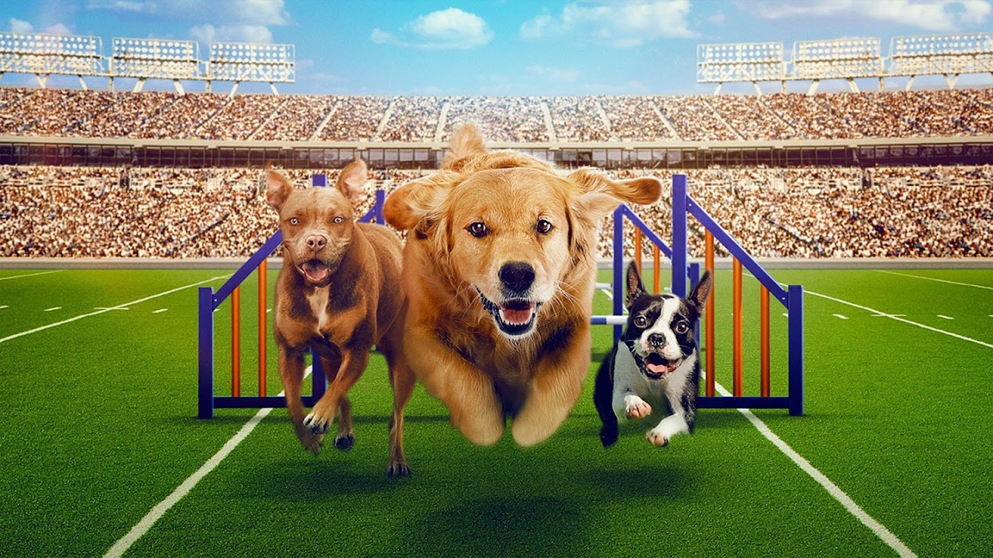 Puppy Bowl XVII Presents: Inside the Bowl