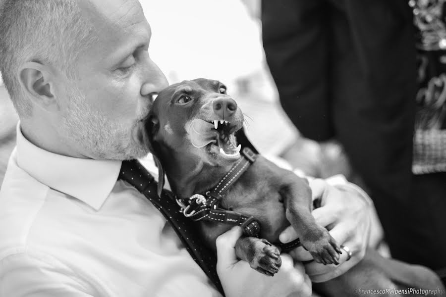 Fotografo di matrimoni Francesco Malpensi (francescomalpen). Foto del 28 settembre 2016