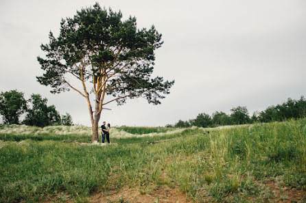 Photographe de mariage Evgeniya Khaerlanamova (haerlanamova). Photo du 23 juin 2015