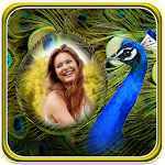 Cover Image of Baixar Peacock Feather Photo Frames 1.0 APK