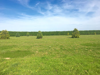 terrain à Hangest-en-Santerre (80)