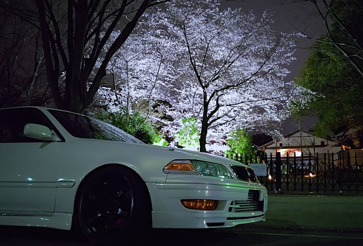 マークIIの桜・桜と愛車・お城と愛車・日曜日のドライブは素早く帰る‼️に関するカスタム事例の投稿画像6枚目